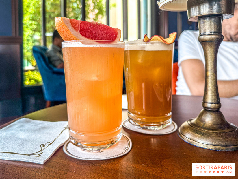 The Regal View Lounge à Disneyland Paris : le bar royal avec vue sur Adventure Bay, notre avis