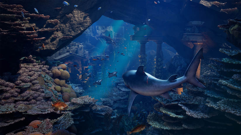Maneater 2 : gameplay, histoire, requin... tout savoir sur la suite du ShaRkPG