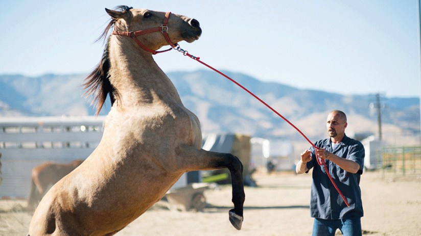 Nevada : découvrez la bande-annonce