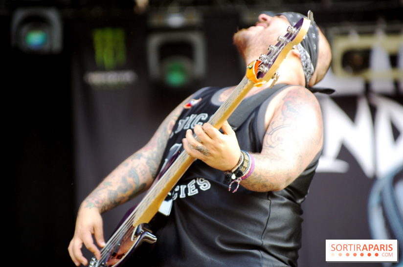 Download Festival 2017 à Paris : les photos - Suicidal Tendencies