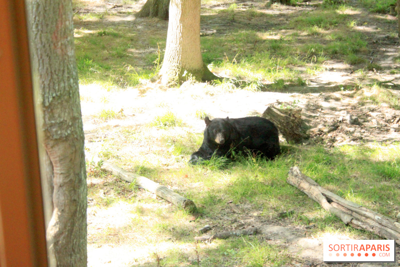 Camion Safari : une visite guidée dans les coulisses de Thoiry