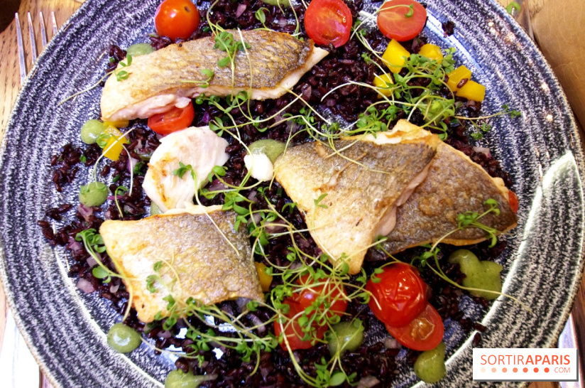 Les Fous de l'île : dorade royale