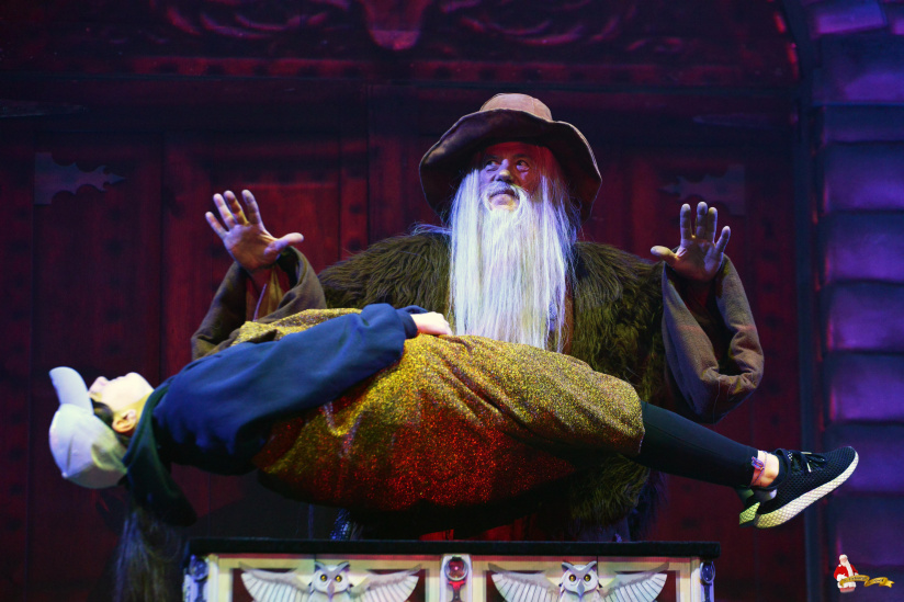 Les Enchanteurs de Noël 2019, Les Enchanteurs de Noël 2019, spectacle magique et féerique au cœur du Château de Vincennes