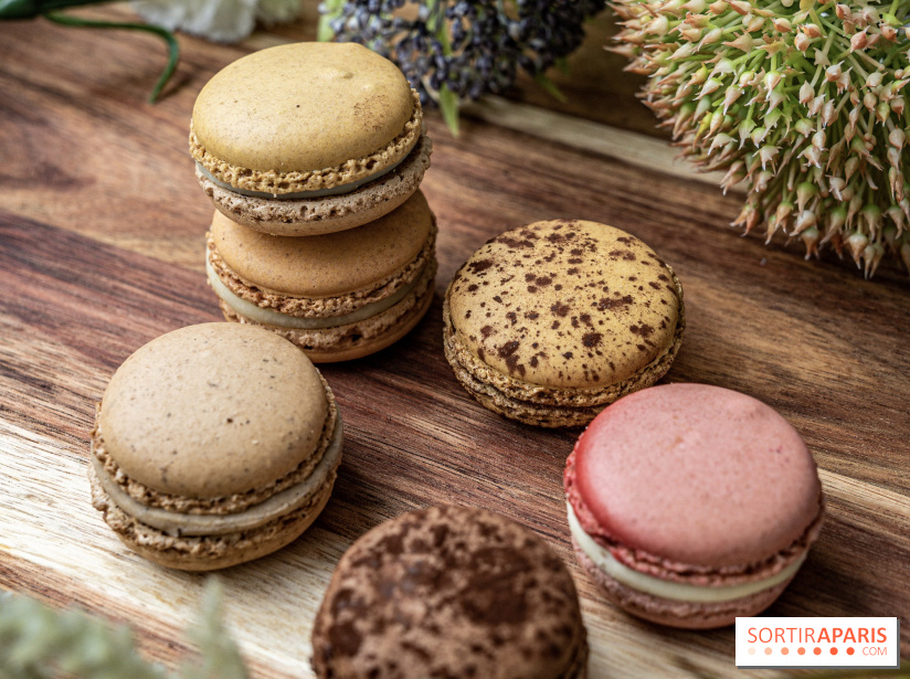 Pierre Hermé Macaron