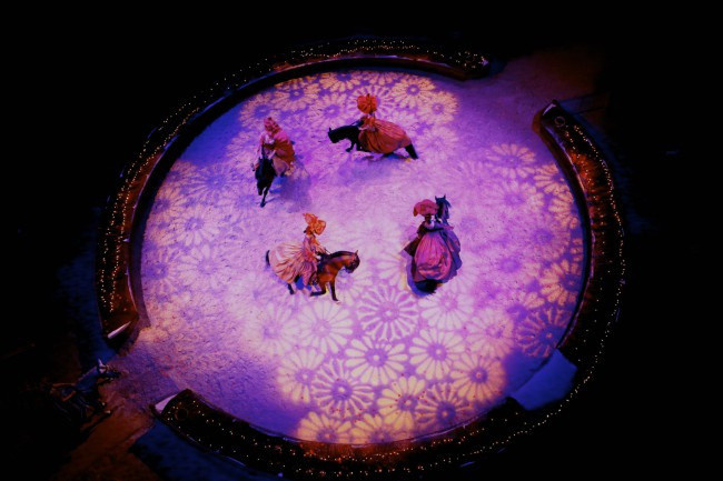 Le Prince et Le Cygne, spectacle de Noël des Écuries de Chantilly 