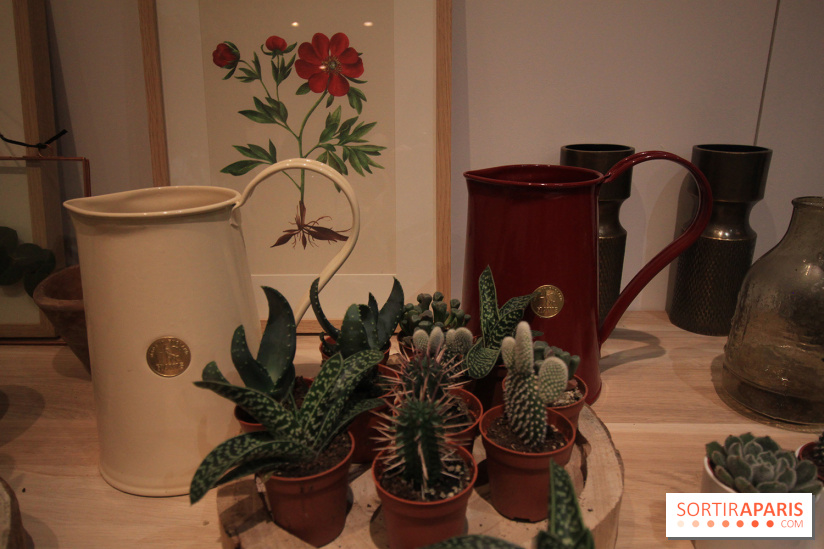 Le pop-up Store de Bergamotte