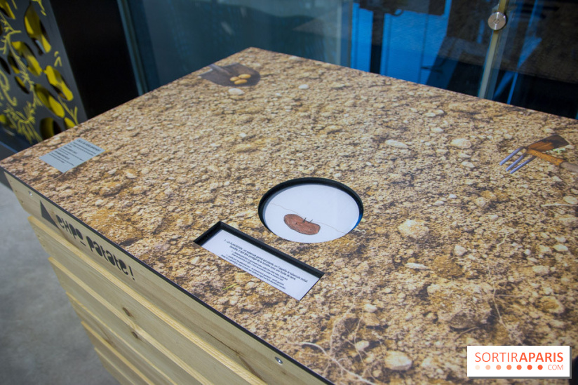Patate, l'expo à la Cité des Sciences