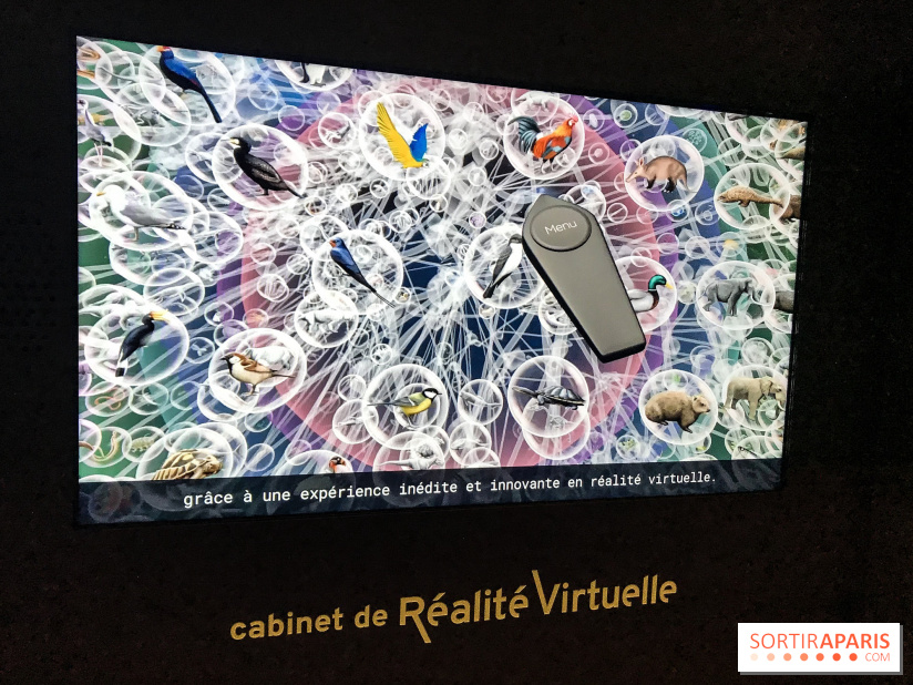 Le Cabinet de Réalité Virtuelle du Muséum national d'Histoire naturelle