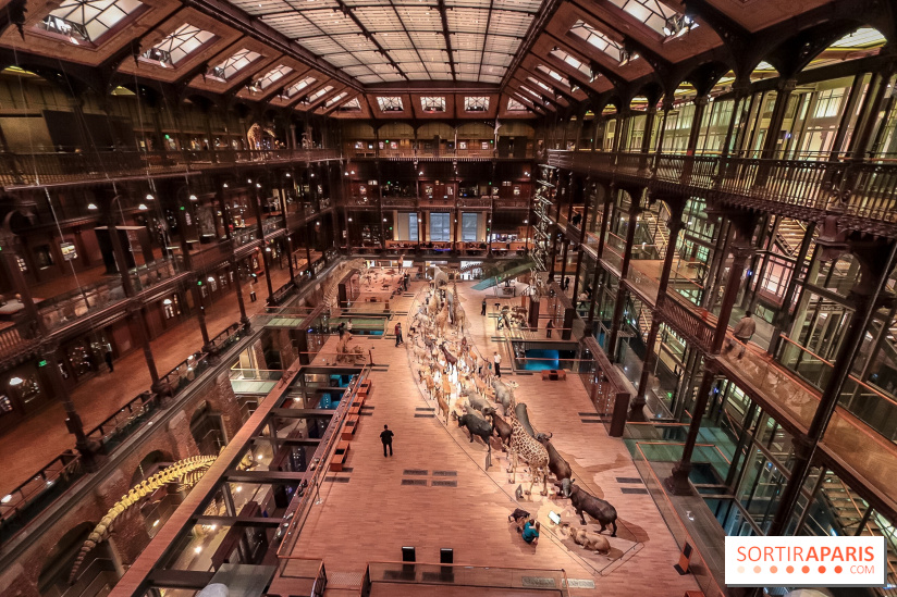 Le Cabinet de Réalité Virtuelle du Muséum national d'Histoire naturelle