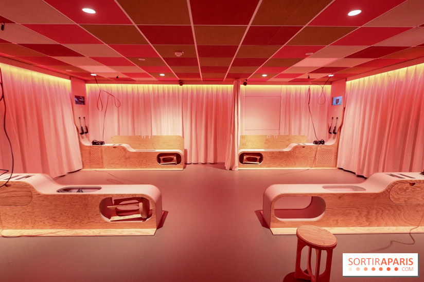 Le Cabinet de Réalité Virtuelle du Muséum national d'Histoire naturelle