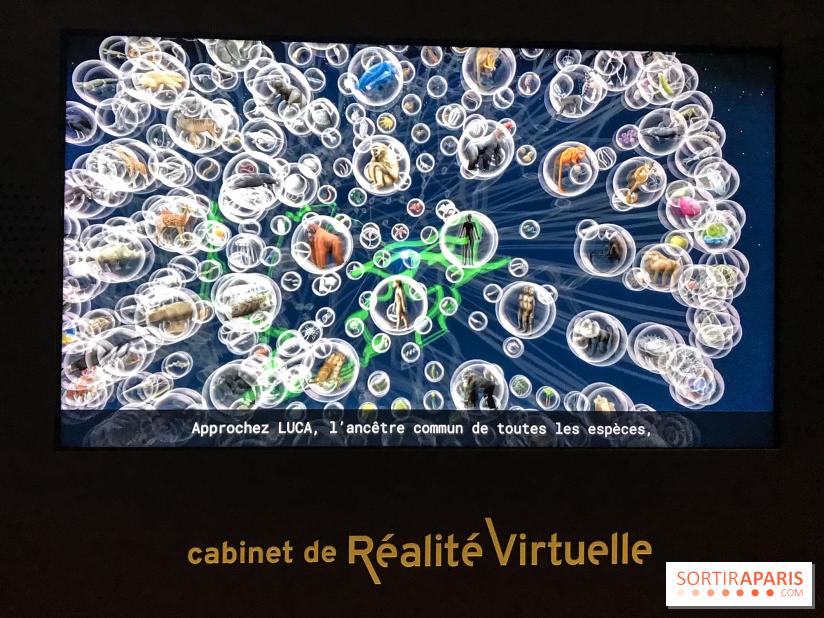 Le Cabinet de Réalité Virtuelle du Muséum national d'Histoire naturelle
