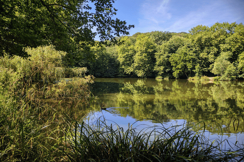 Les meilleures randonnées pour chiller au bord de l'eau près de Paris