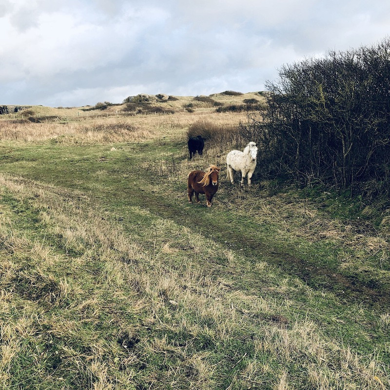 Les meilleures randonnées pour (vraiment) s'évader de Paris 