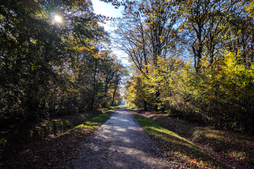 Randonnée à Paris : 5 itinéraires à découvrir en février 2021 