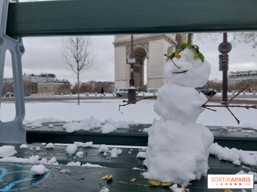 La Neige à Paris - 20260107 123615
