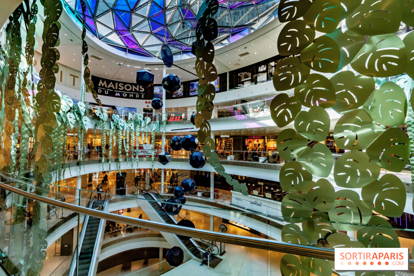 Exposition Monstera Dubia à Beaugrenelle