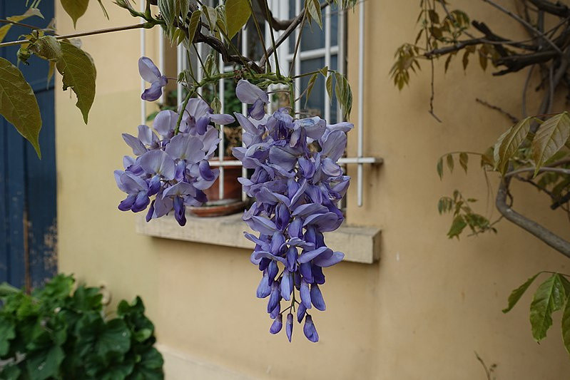 Les charmants villages du 14e arrondissement