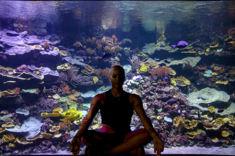 YogAquarium : du yoga, en famille à l'Aquarium de Paris
