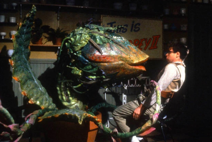 Le top des films pour enfants à voir sur La Cinetek