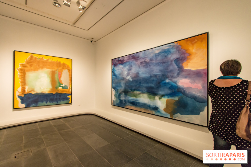 Les Nymphéas et artistes abstraits au Musée de l'Orangerie