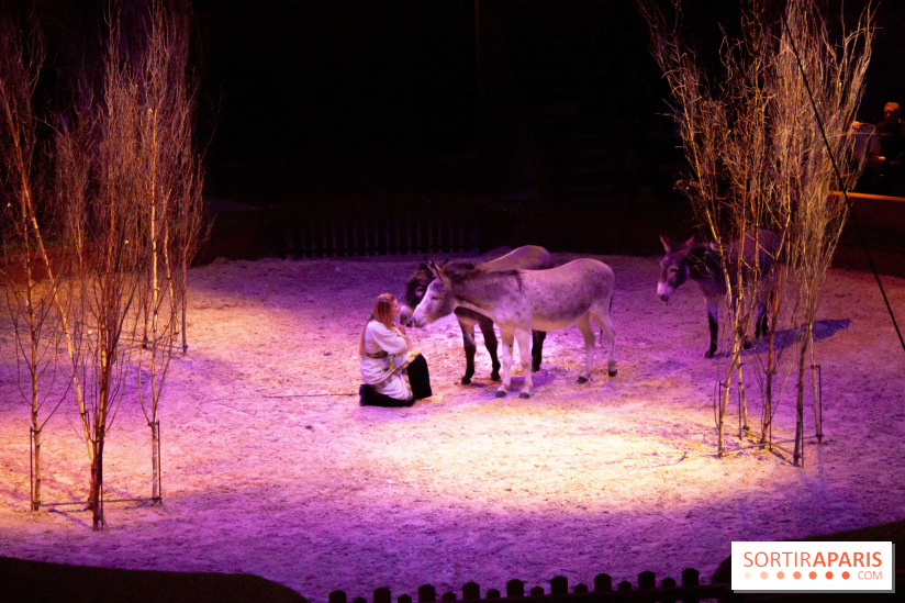 Nature, le spectacle équestre à Chantilly