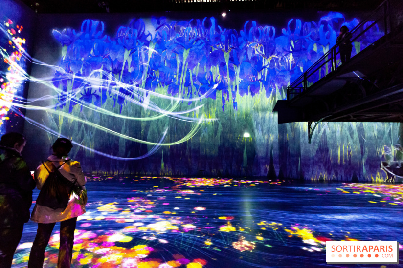 Teamlab : au delà des limites à la Villette, les photos