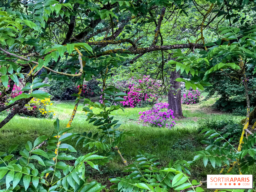 L'Arboretum de Versailles - Chevreloup