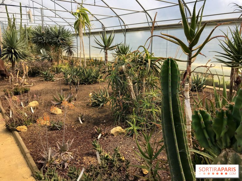 L'Arboretum de Versailles - Chevreloup
