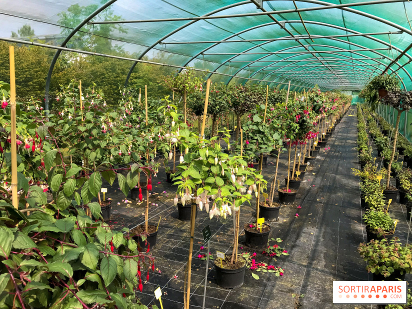 L'Arboretum de Versailles - Chevreloup