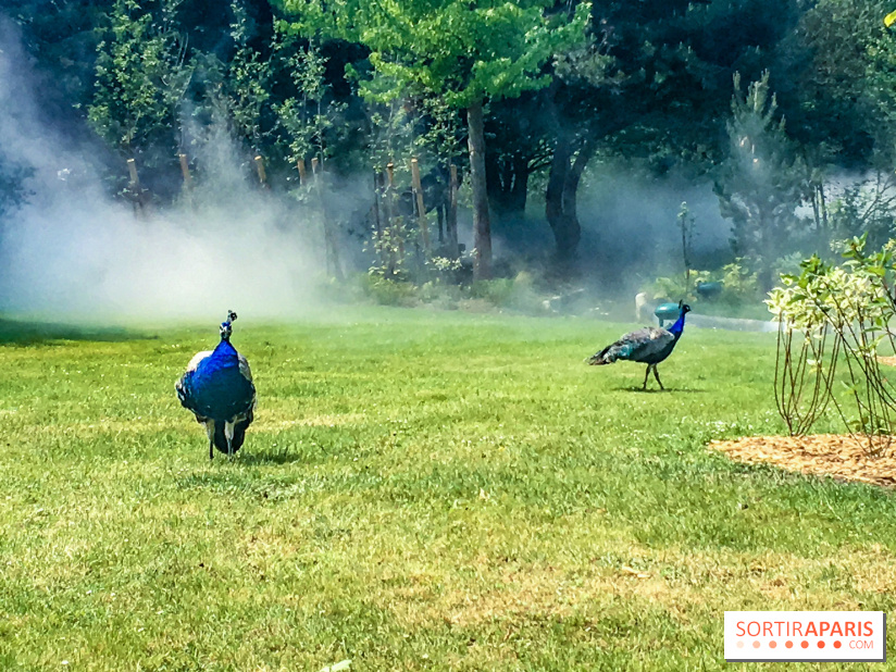 Le Jardin d'Acclimatation dévoile son nouveau visage et ses attractions, les photos