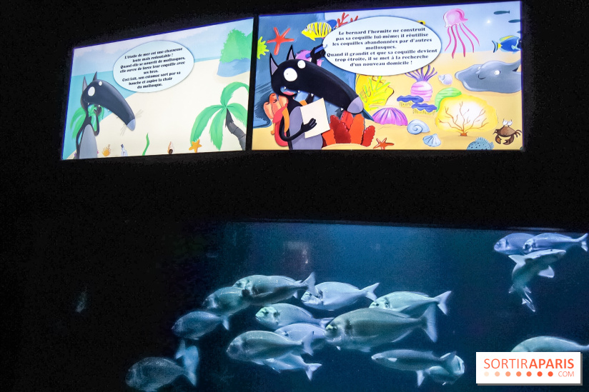 Loup préserve les océans à l'Aquarium de Paris, les photos