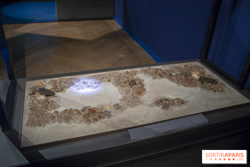 Un T-Rex à Paris : les photos