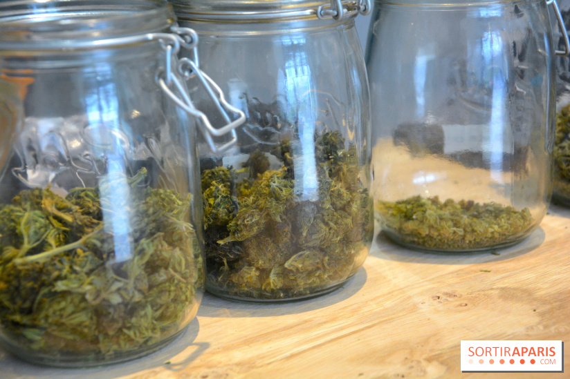 Le Lab du bonheur à Paris, un Coffee Shop CBD bien-être 