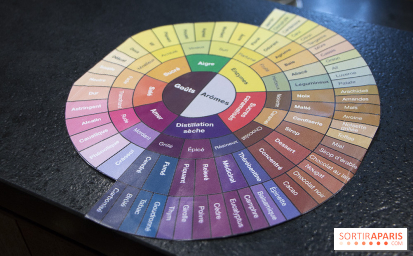 Initiation "autour du café" chez Comptoirs Richard : les photos