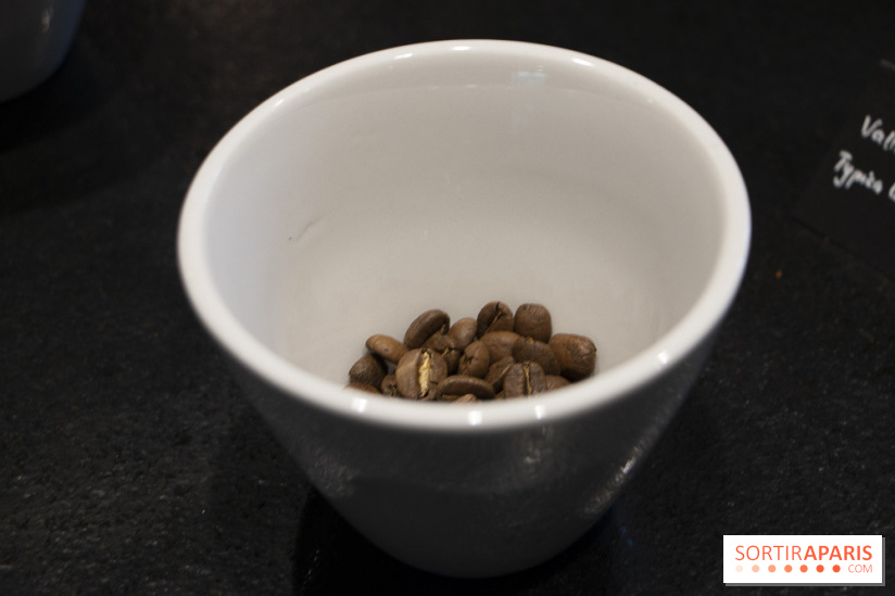 Initiation "autour du café" chez Comptoirs Richard : les photos