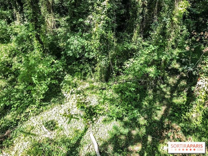 AccroCamp, l'accrobranche des Boucles de Seine