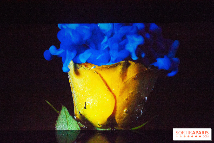 Colours X Colours, l'installation immersive à l'Atelier des Lumières