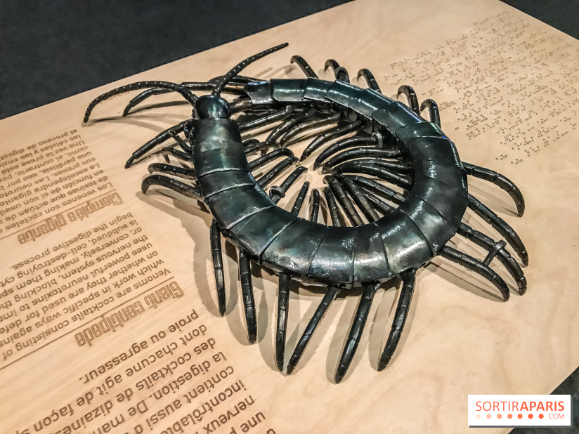 Poison au Palais de la Découverte, les photos 