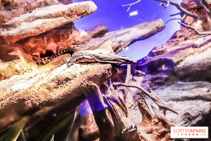 Poison au Palais de la Découverte, les photos 