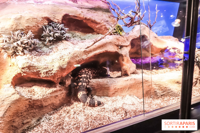 Poison au Palais de la Découverte, les photos