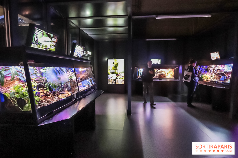 Poison au Palais de la Découverte, les photos 