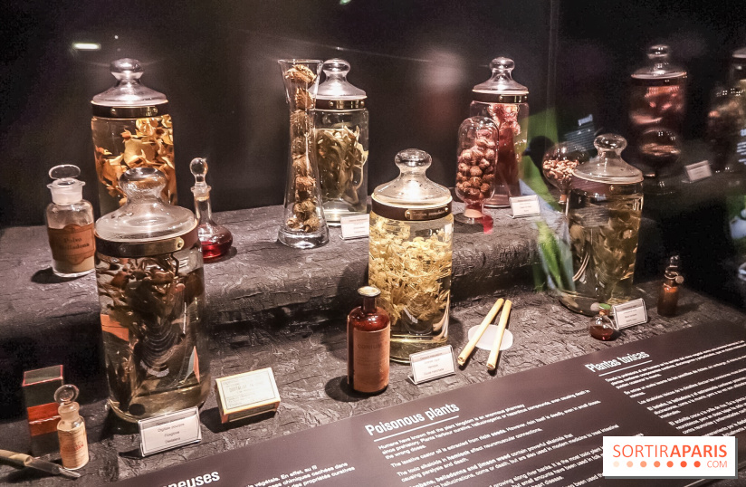 Poison au Palais de la Découverte, les photos 