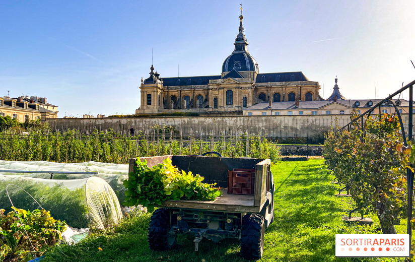 Les Saveurs du Potager du Roi à Versailles : marché de fruits & légumes, expositions et animations