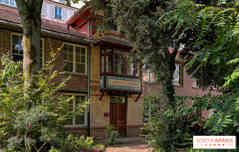Le jardin botanique de la Faculté de Pharmacie en visite