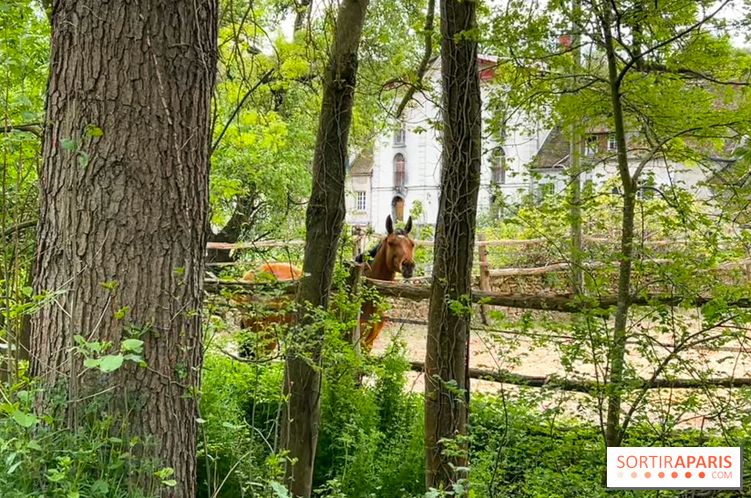 La balade-randonnée bucolique de Jouy-en-Josas à l'Aqueduc de Buc (78), à faire en famille