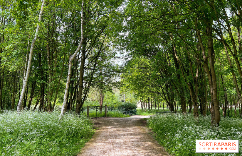 La balade-randonnée bucolique de Jouy-en-Josas à l'Aqueduc de Buc (78), à faire en famille