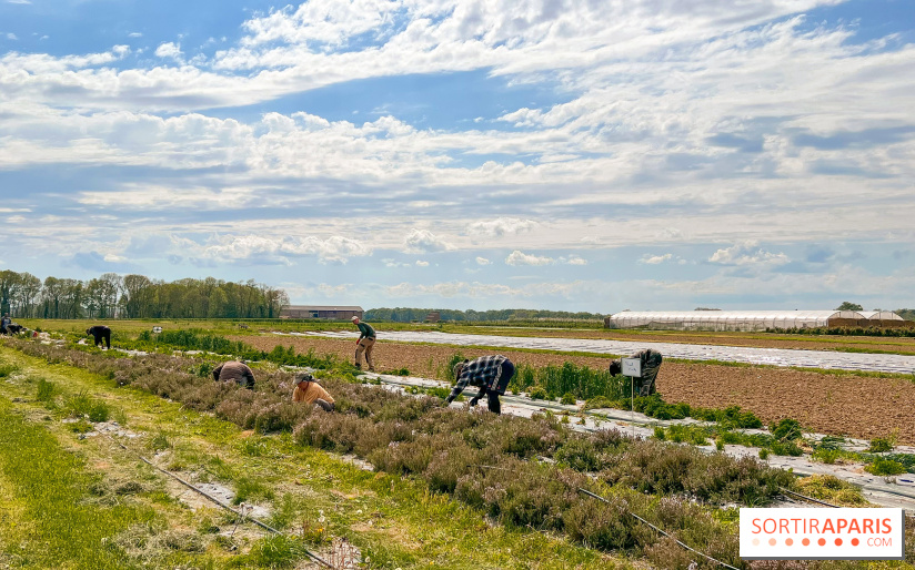 La balade-randonnée bucolique de Jouy-en-Josas à l'Aqueduc de Buc (78), à faire en famille