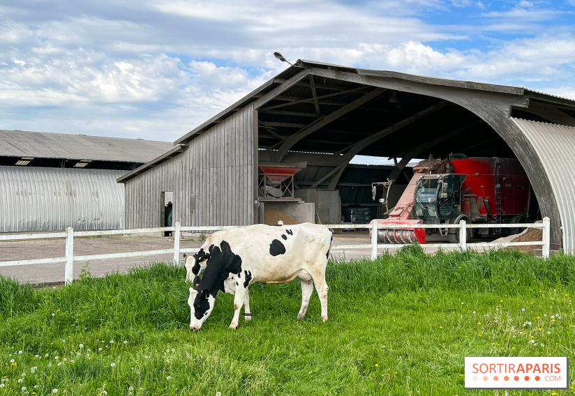 La balade-randonnée bucolique de Jouy-en-Josas à l'Aqueduc de Buc (78), à faire en famille