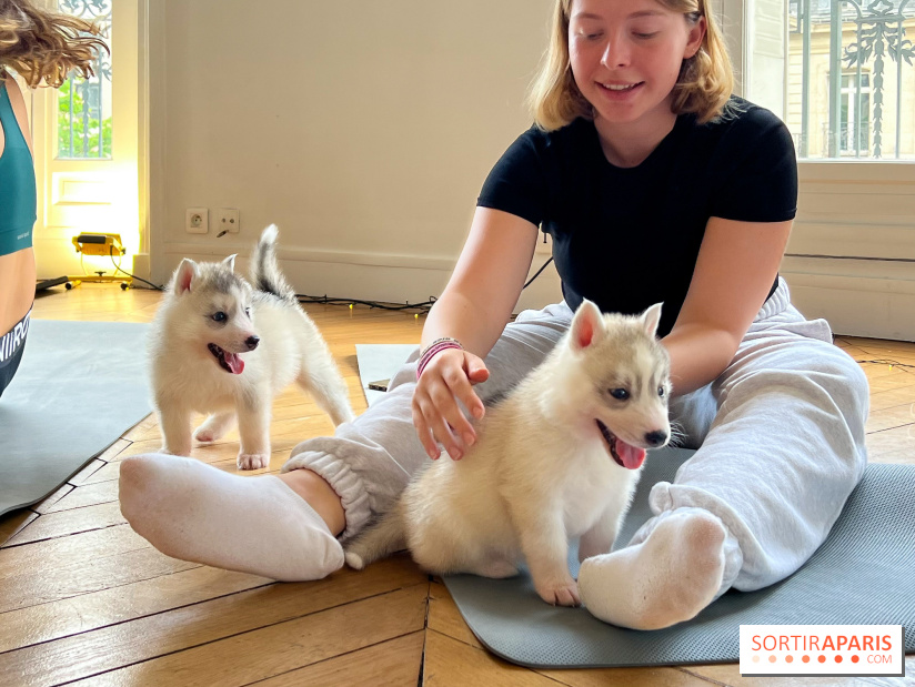 Puppy Yoga Paris, des séances de yoga tout en câlins avec d'adorables chiots - Prochaines dates