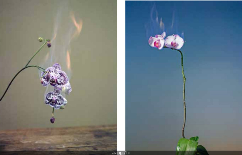 Les Fleurs du Mal, l'exposition gratuite qui capture la beauté de l'éphémère à la Maison Guerlain